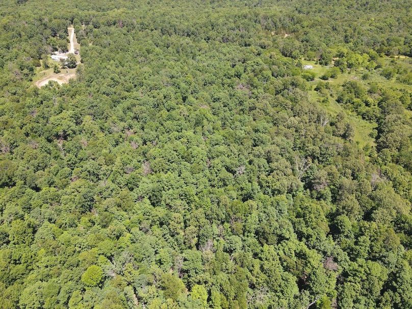 dji_fly_20260507_122404_741_1778174673845_photo