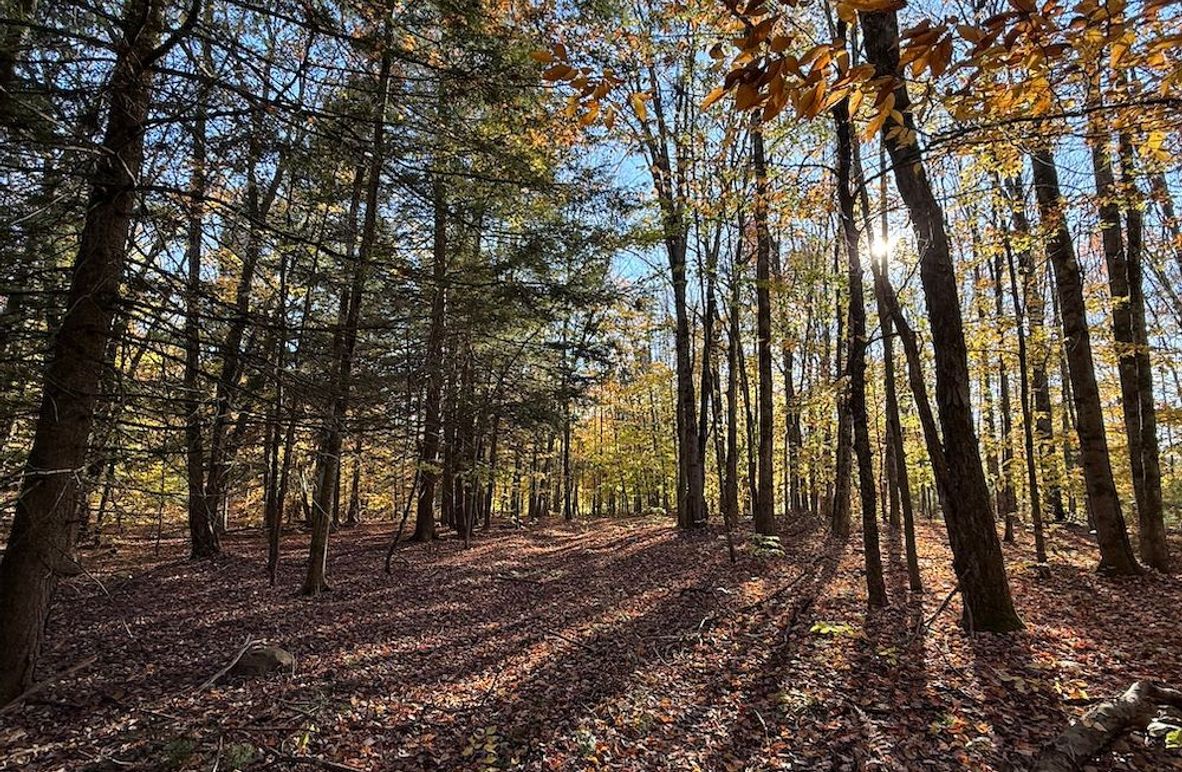 Oswego_26.28_Koehler Photo 1