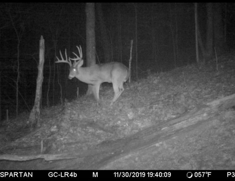 trail cam6