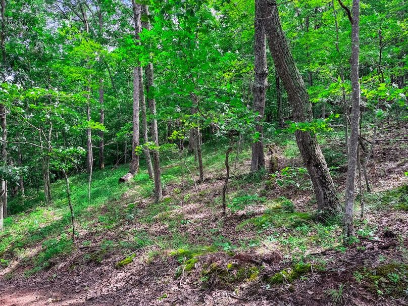 Wirt, WV 137.45 AC Full-50