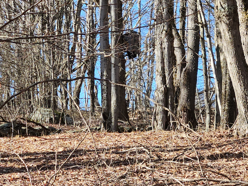 photo_7283cc83-6de7-45f7-93a8-805afad87dbe