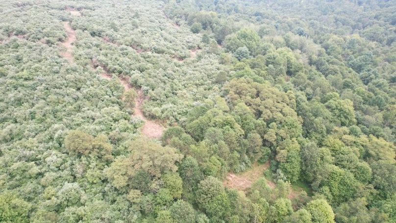 dji_fly_20250806_140736_585_1754530427628_photo