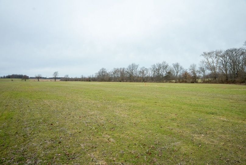 Copy of DSC00772 Large