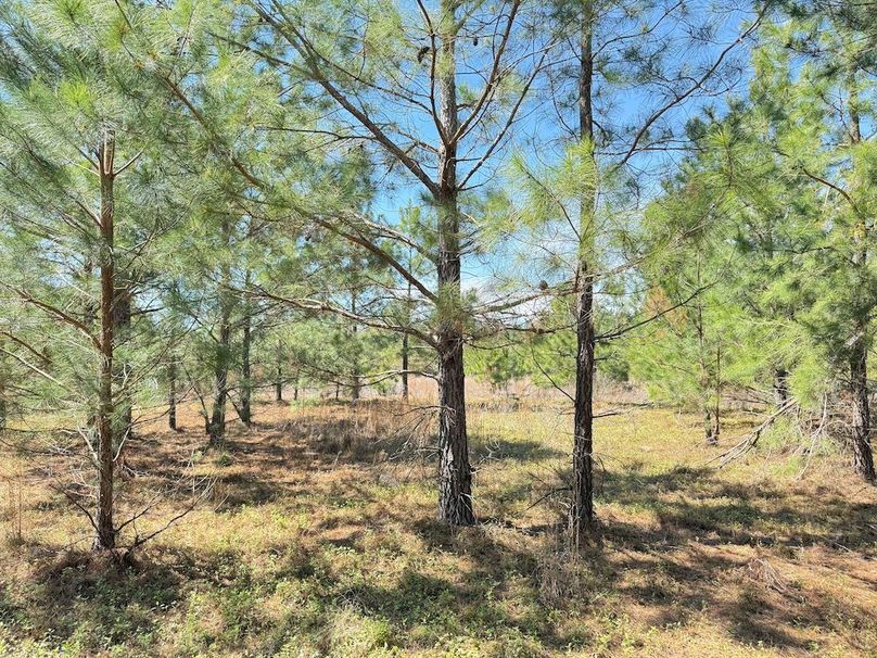 3552D33E-AAC6-4066-91C8-AB34D49A9AB6