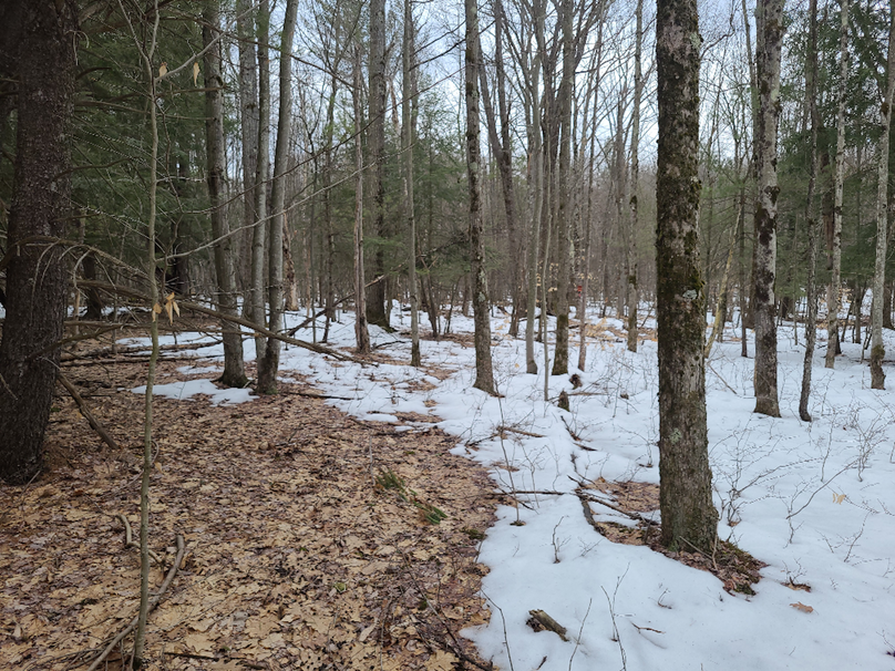 photo_b9d523a7-d7ab-4e3e-9a7e-62b2860772ee