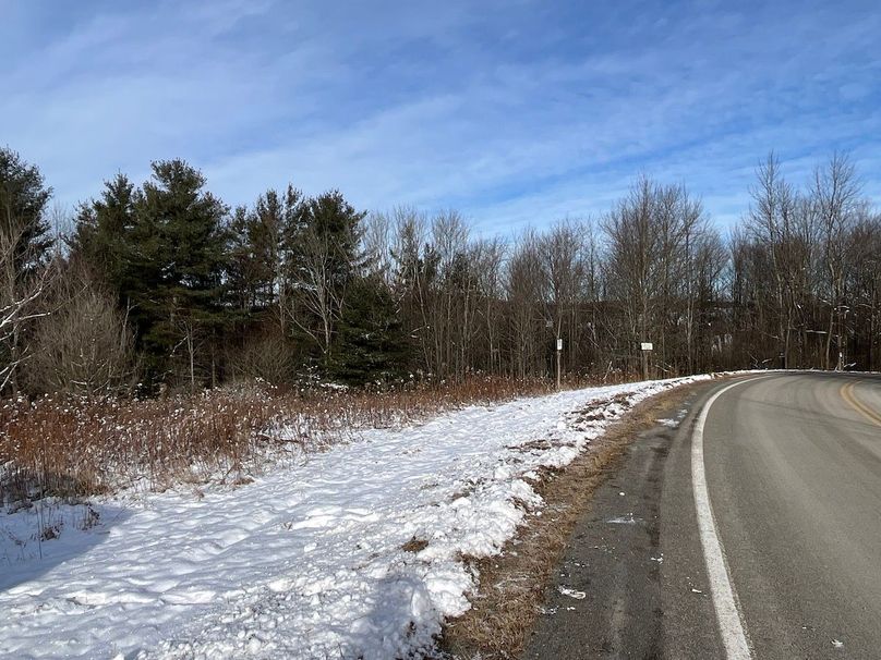 Chemung_29.78_LippincottPhoto 3