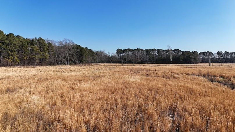 dji_fly_20260206_112542_0238_1770395793815_photo