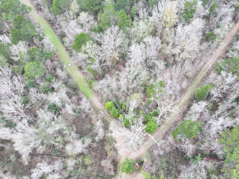 dji_fly_20260123_130822_0930_1769444778939_photo