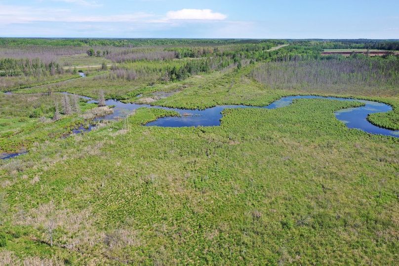 org_1c1c08d100fd1c95_1717337076000