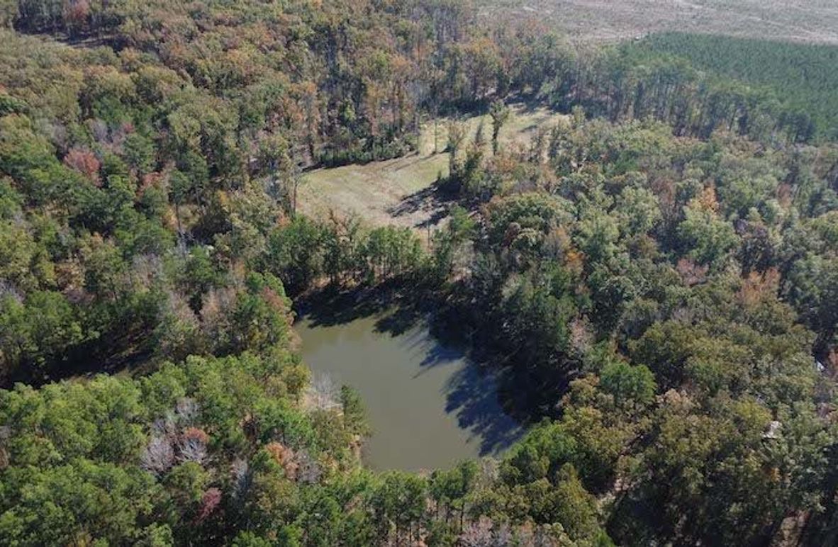 jeff 5020251111_0277