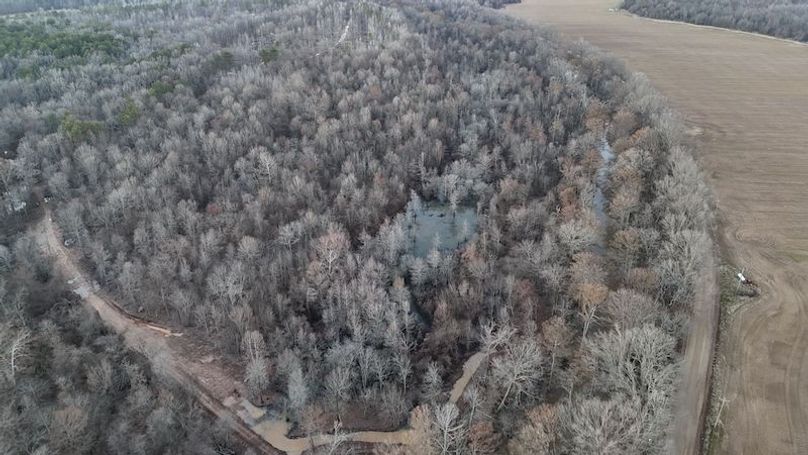 311 new20260217_0465