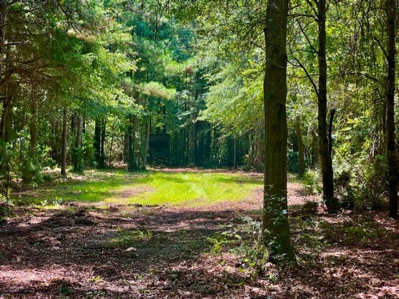 E742325C-B91F-4B56-B114-42863D3F2593_1_105_c