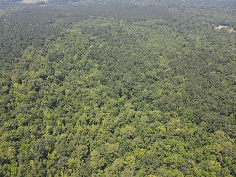 dji_fly_20240615_120738_175_1718471288302_photo