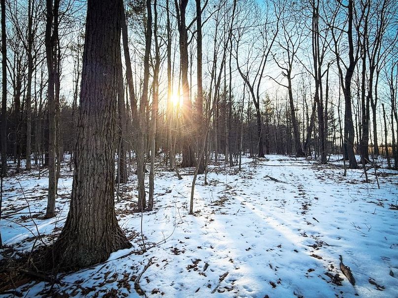 Seneca_43_Hohwald_Photos_23