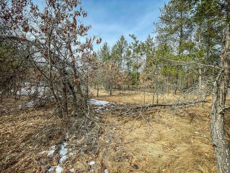 Adams 10.06 Johnson-12