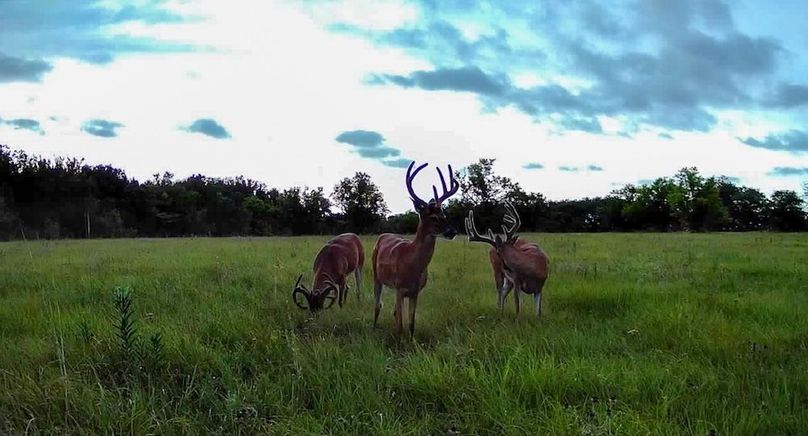 Copy of 016578004545254-100-2-07302025194522-SYFW00262