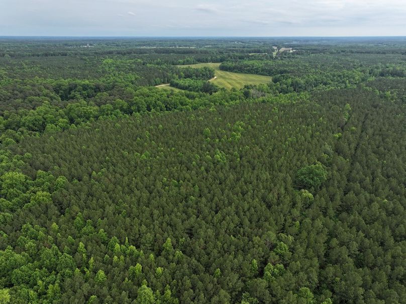 DJI_20240518162641_0020_D