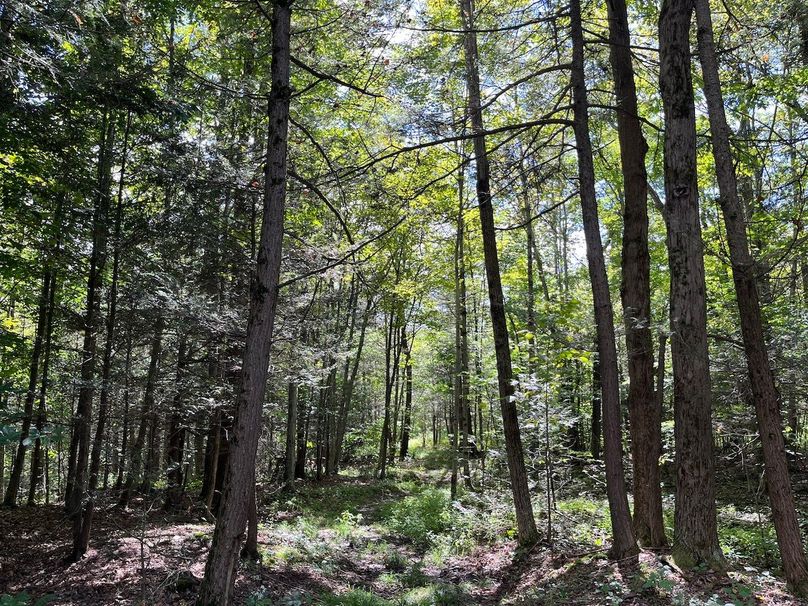 Schuyler_42.08_Austin Photo 27