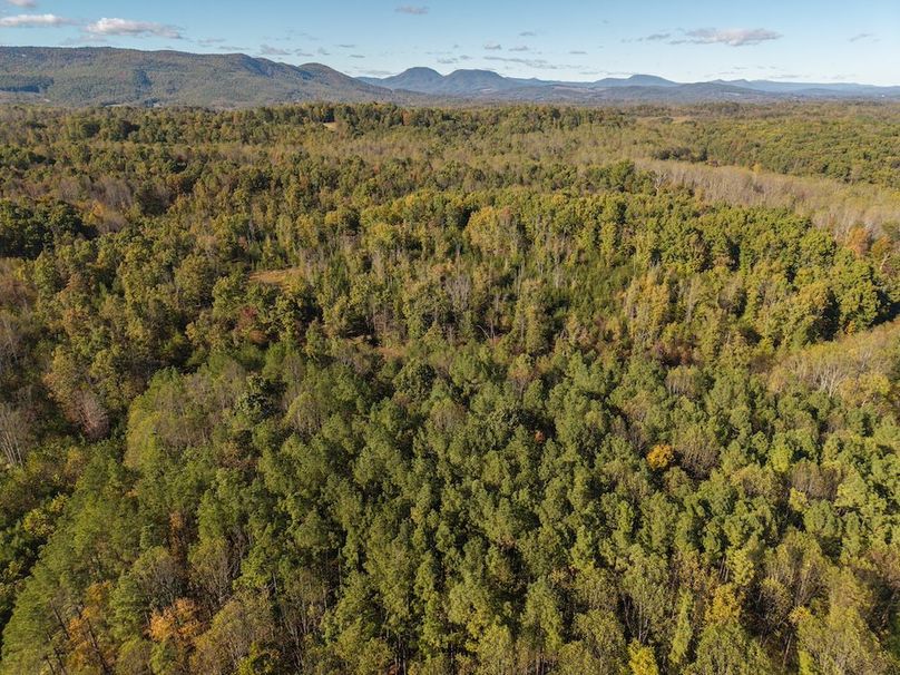 DJI_20251014160757_0006_D