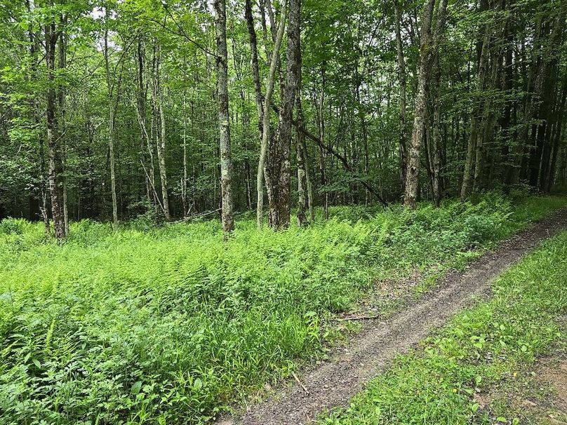 photo_9e08b418-402e-4487-a269-31f18ccf5da4