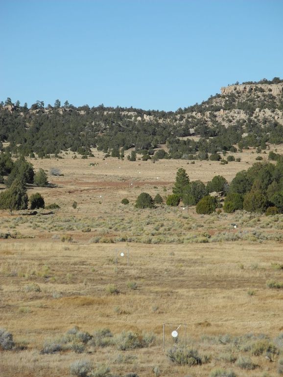 44_Pratt shooting range