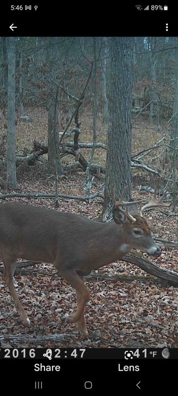 Screenshot_20230402_174617_Photos(1)