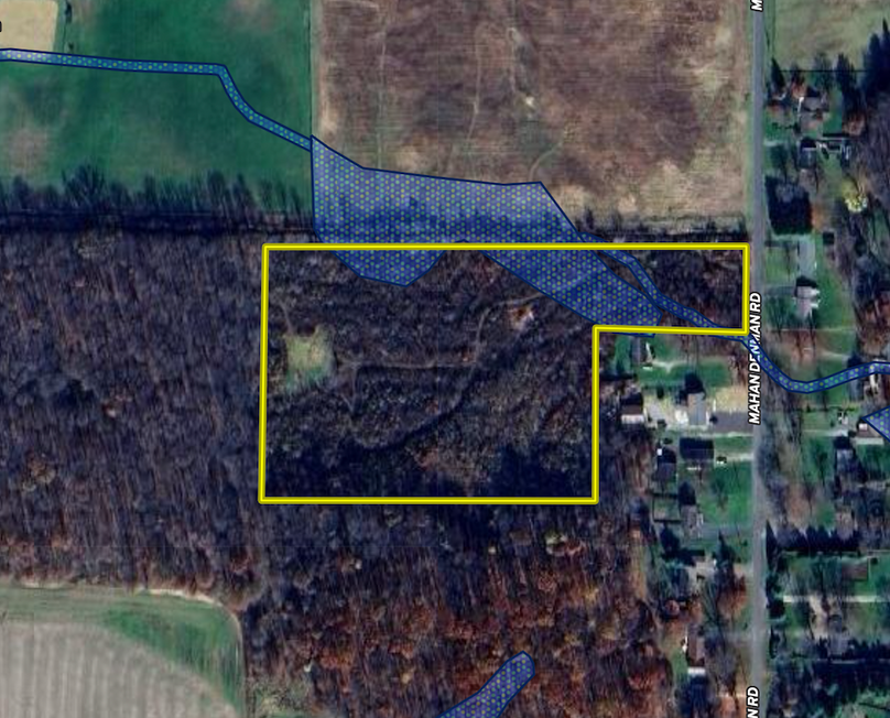 Screen Shot 2024-03-07 at 11.47.38 AM