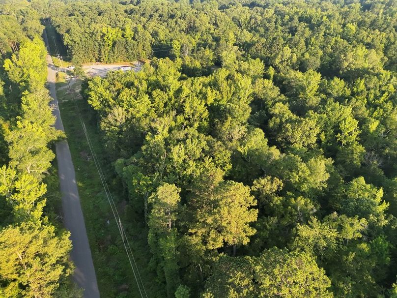 DJI_20250627072239_0029_V