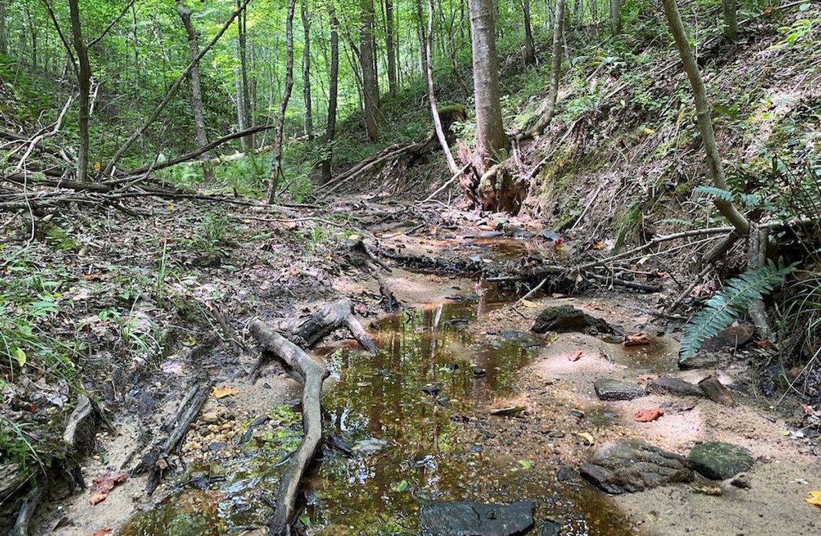 003 water still flowing in the creek even during the driest of summer days copy