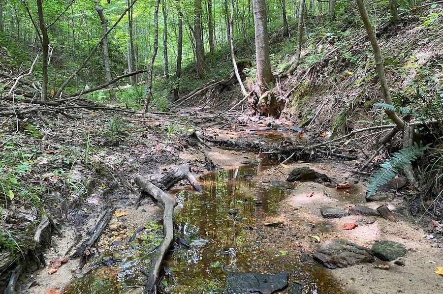 003 water still flowing in the creek even during the driest of summer days copy