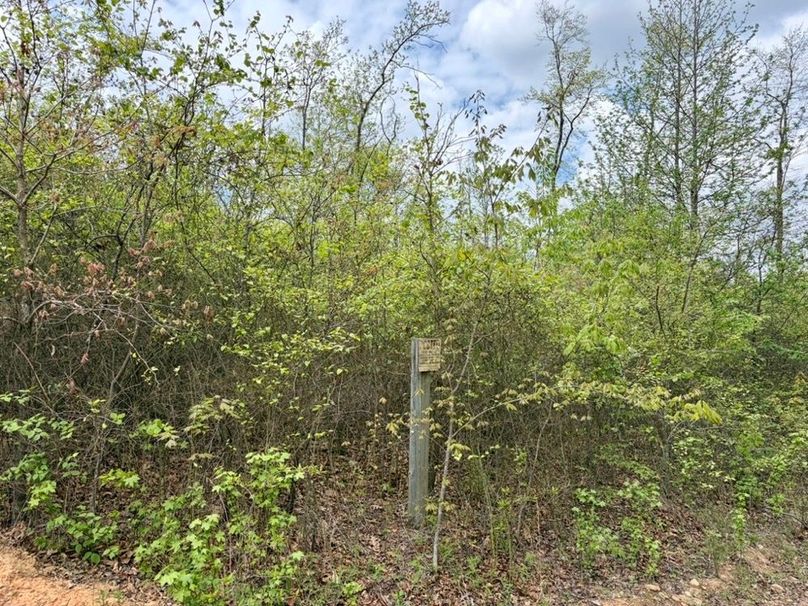 817F10C6-20C7-4C20-A6FE-2EEC680783B9_1_105_c-2