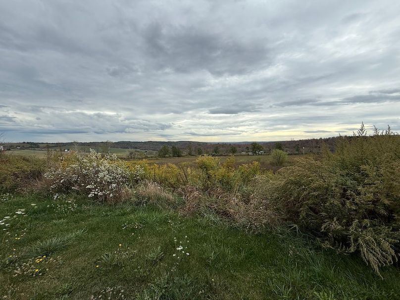 Chemung_184.12_Sterling 41