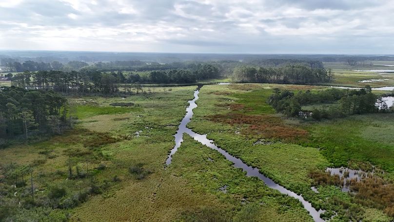 IMG9_58AC_dji_fly_20250811_083910_0013_1754945055315_photo