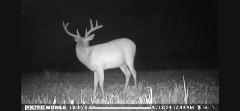 Trailcam4