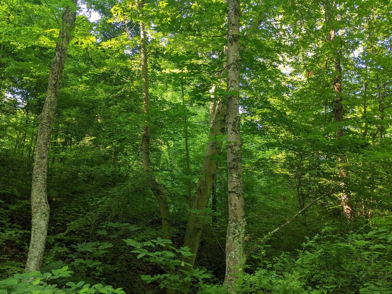 PXL_20230602_131350920