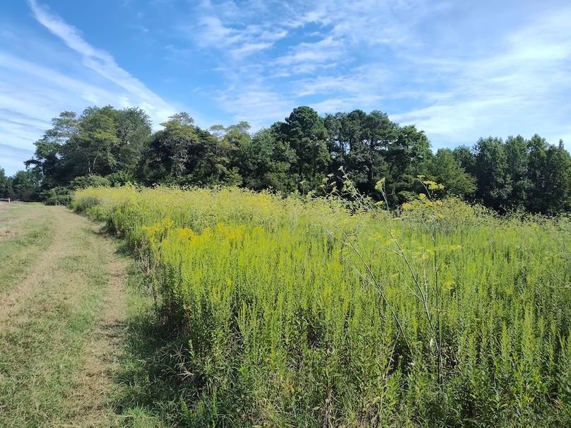 IMG_20250830_110851703