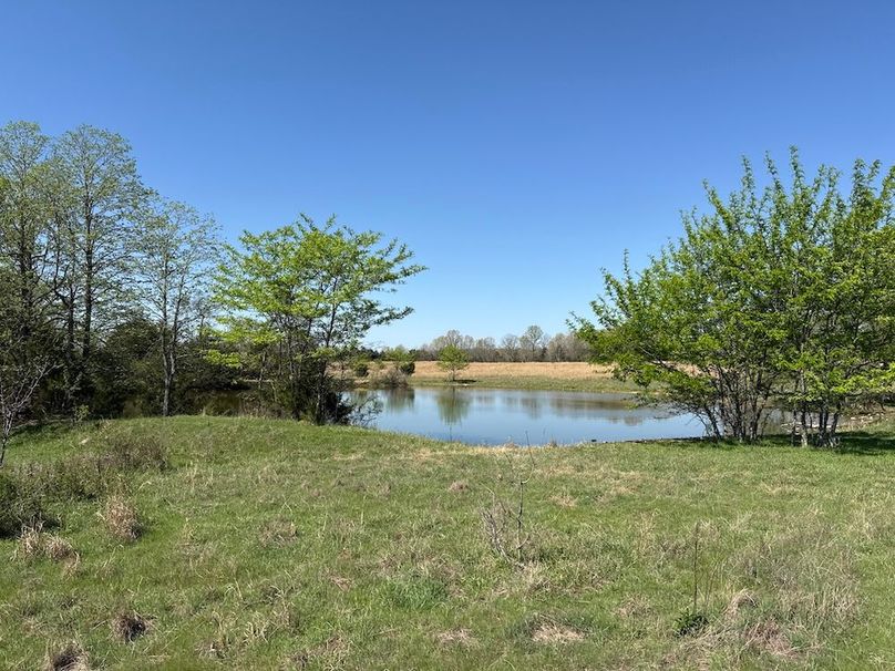 DJI_20260409_110311_232