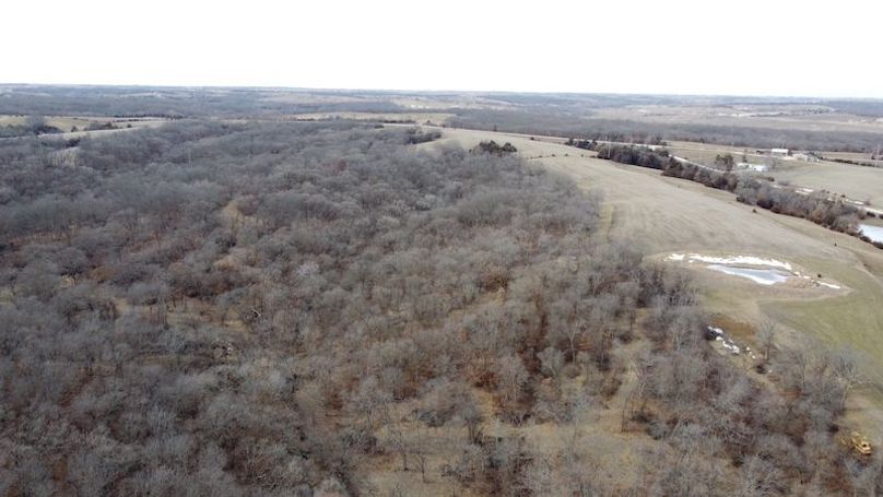 DJI_0646