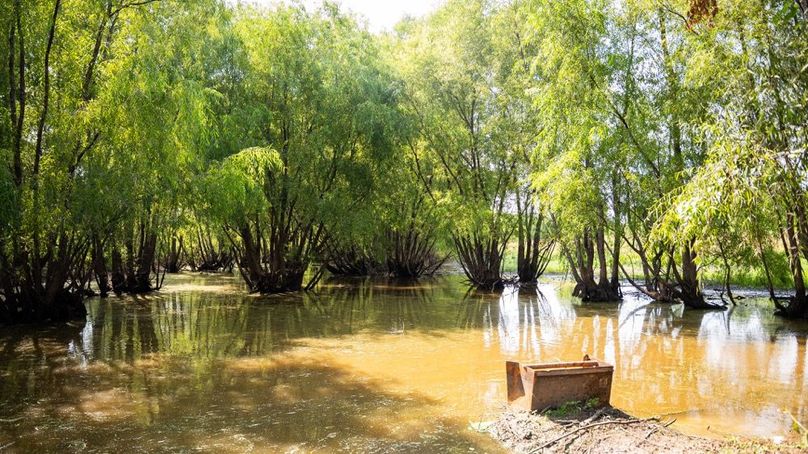 MadisonParLa1372-151