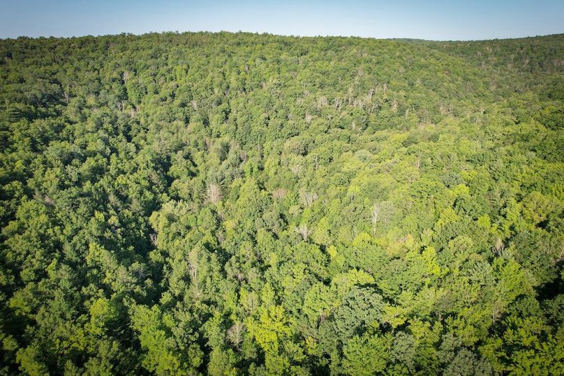 Tioga_82.5_Williams_Photos_11