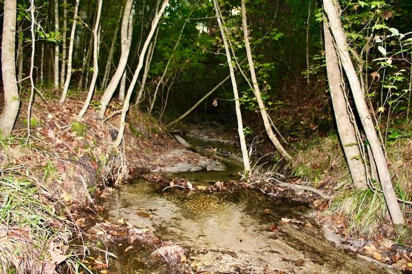 9AF2FD03-0738-45AC-9239-0D0C4D972F52_1_105_c