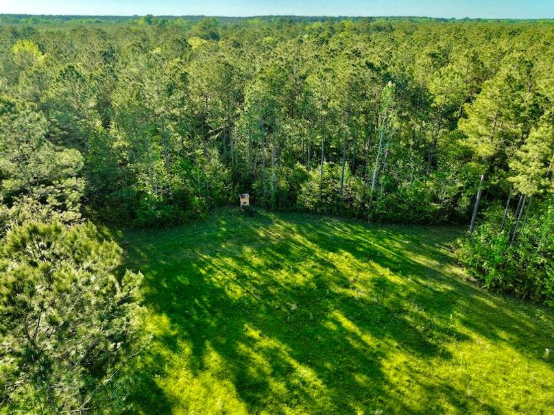 C013F41C-42E4-461B-B17E-864886B97152_1_201_a