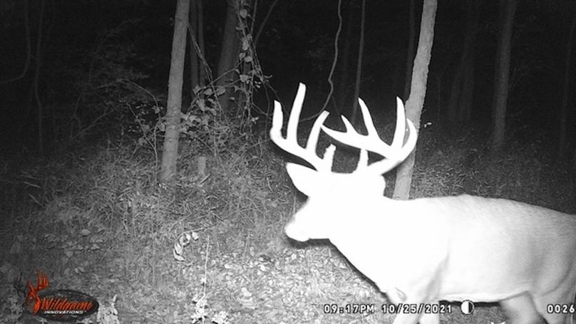 trailcam1