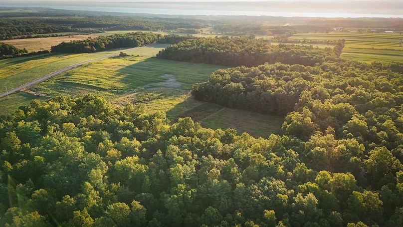 Copy of Wood Tract 4 Photo 4