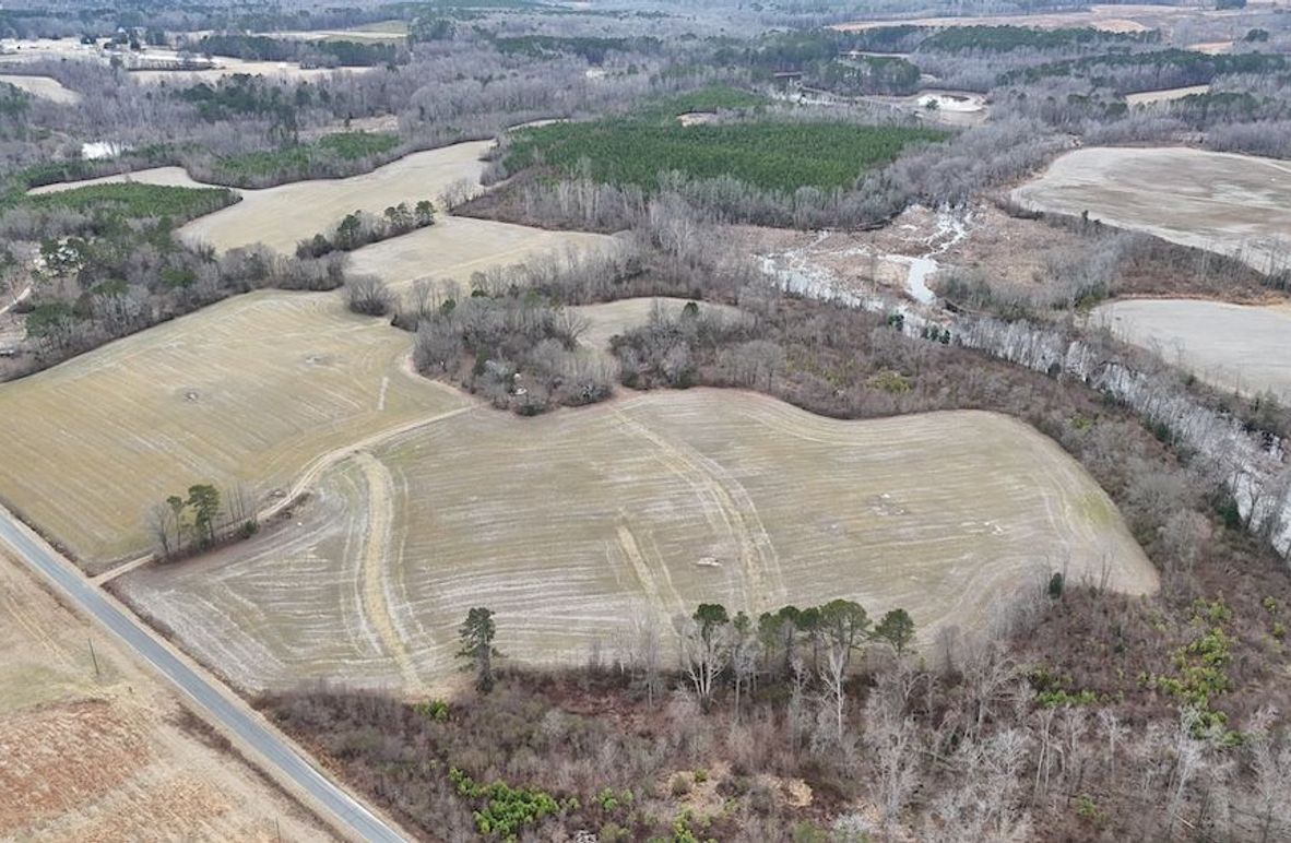 dji_fly_20260218_163628_0005_1771452065467_photo