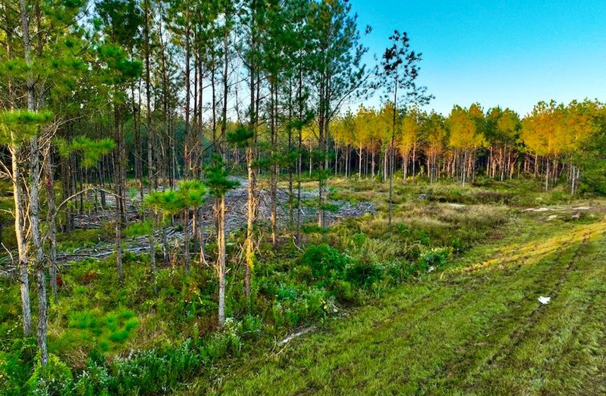 3C956A44-788A-4FF8-9B5C-9F274CBD91BC_1_201_a