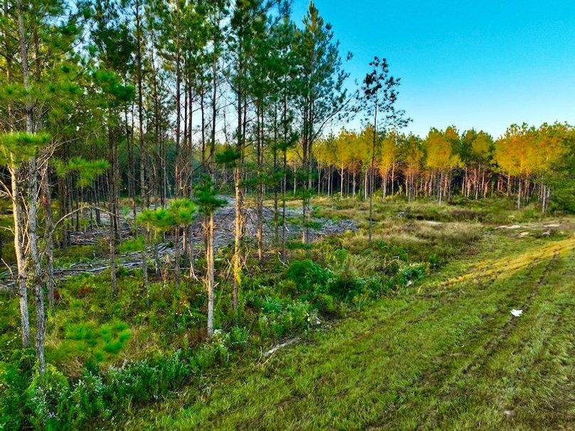 3C956A44-788A-4FF8-9B5C-9F274CBD91BC_1_201_a