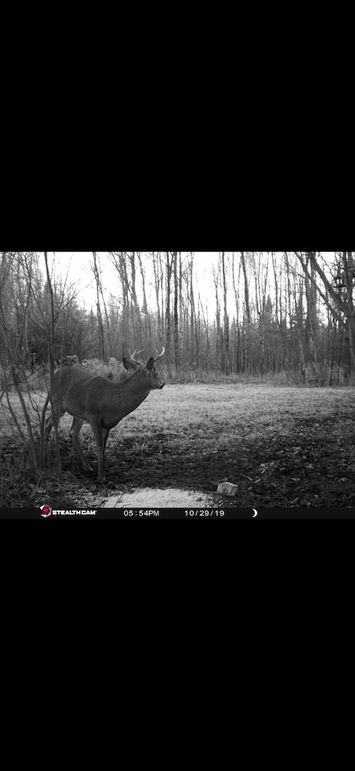 IMG_1421