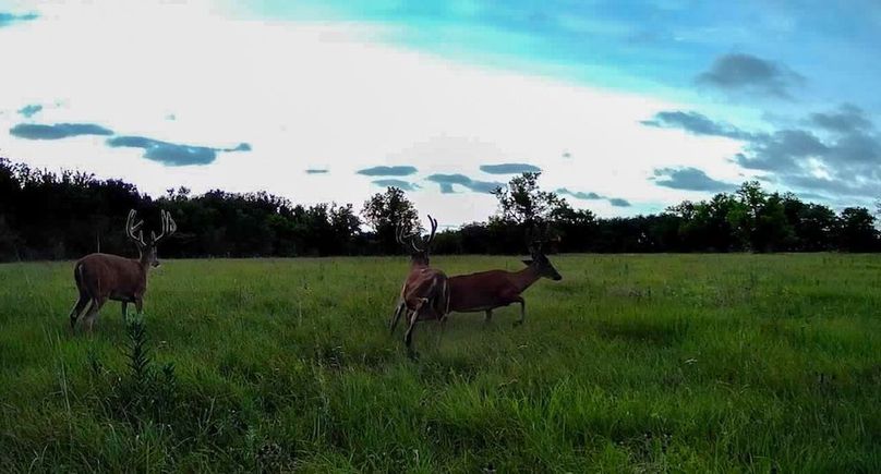 Copy of 016578004545254-100-3-07302025194002-SYFW00244