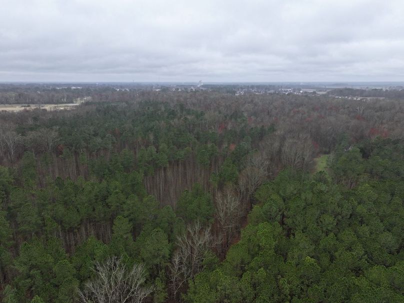 DJI_20240305132645_0049_D